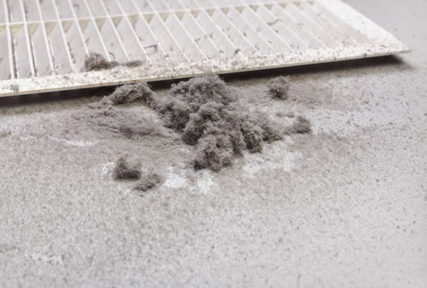 Best HVAC Maintenance and Cleaning  in Sardinia, OH