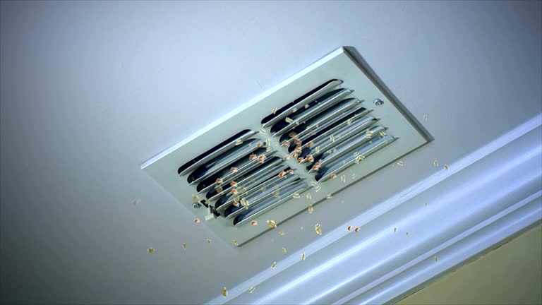 Best Air Vent Cleaning Services  in Sardinia, OH